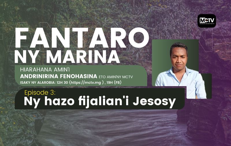 Ny hazo fijalian'i Jesosy