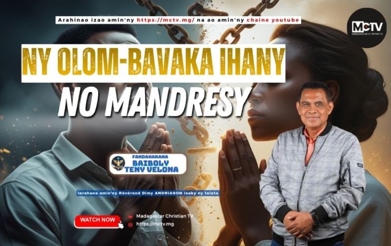 NY OLOM-BAVAKA IHANY NO MANDRESY