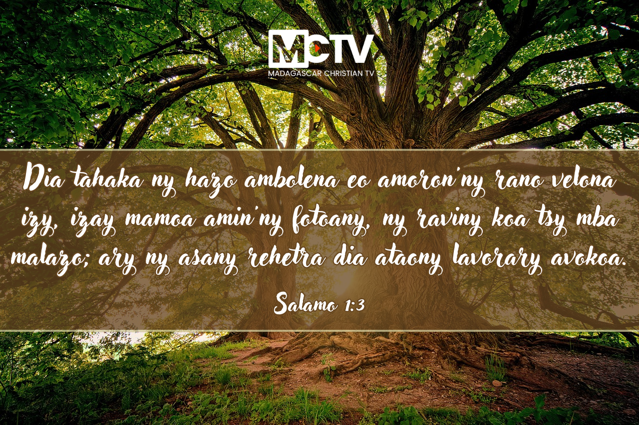 Psaumes 1:3